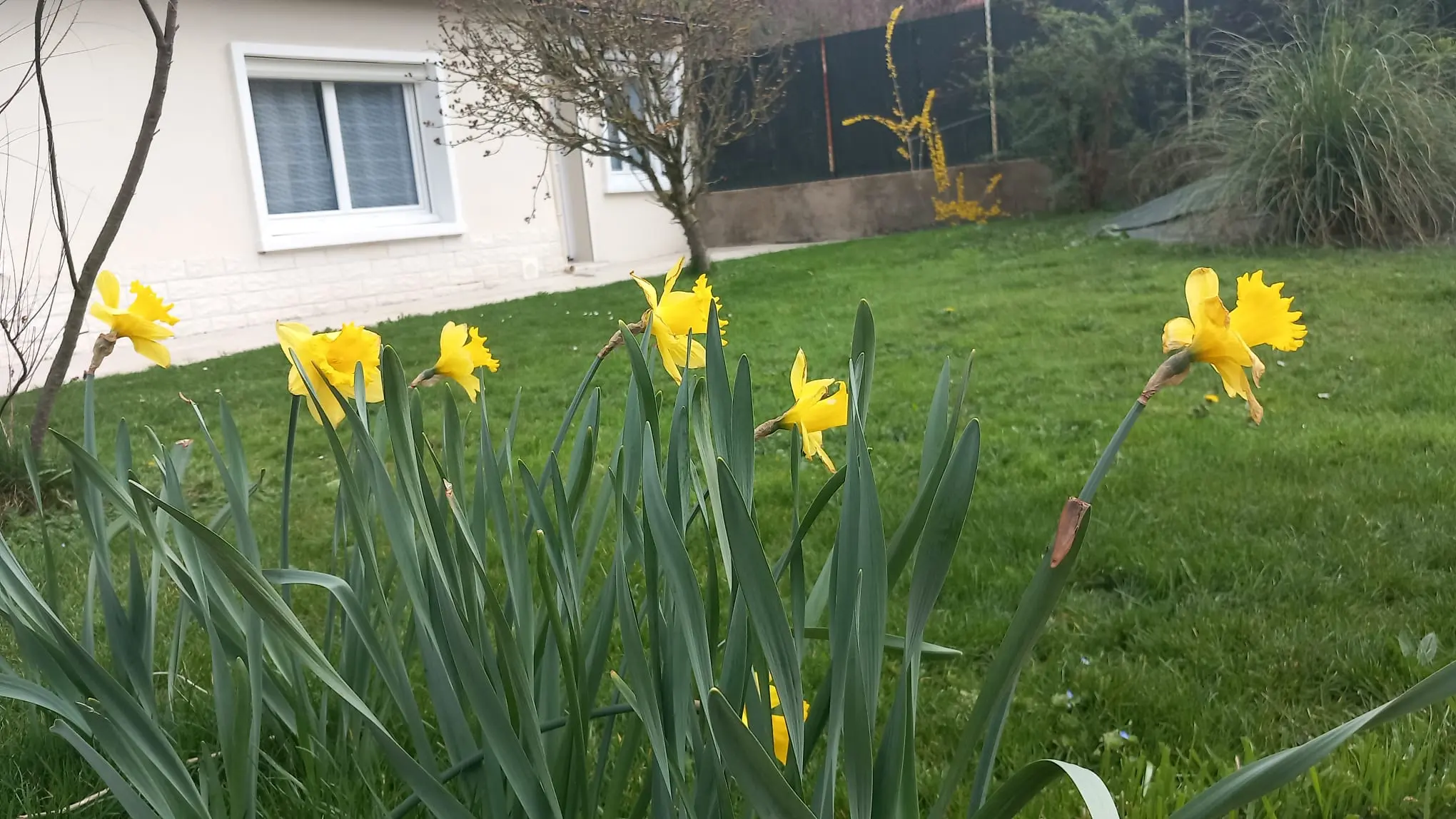 Photo Extérieur 1